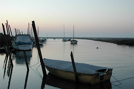 A Blakeney creek at high tide