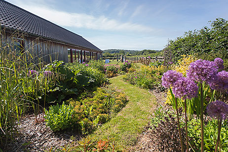 Walk through borders beside the swimming pool, Home Farm Holiday Cottages, Weybourne